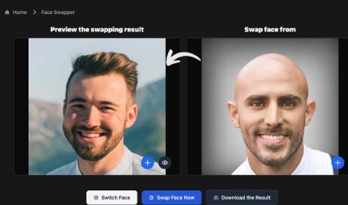 New Faces, Same You: Face Swap AI